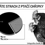 infografika